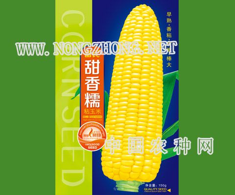 富民甜香糯